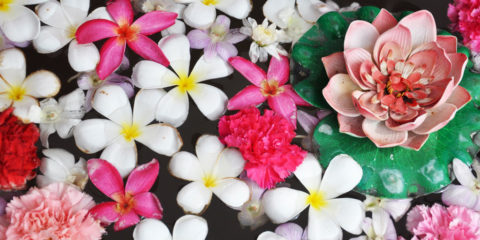 flowers floating in water